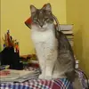 Отзыв от Инесса Рыбакова